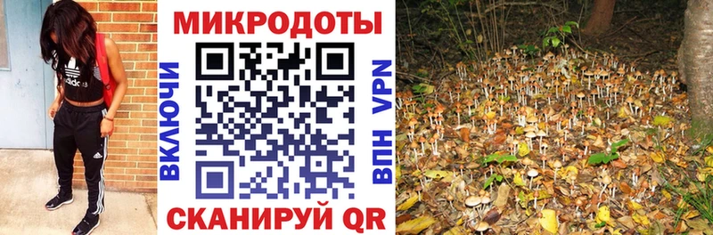 Купить закладки Рузаевка Галлюциногенные грибы Cubensis